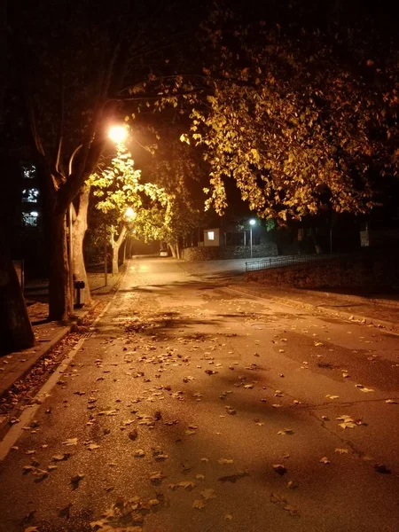 Hermoso Camino Nocturno Parque — Foto de Stock