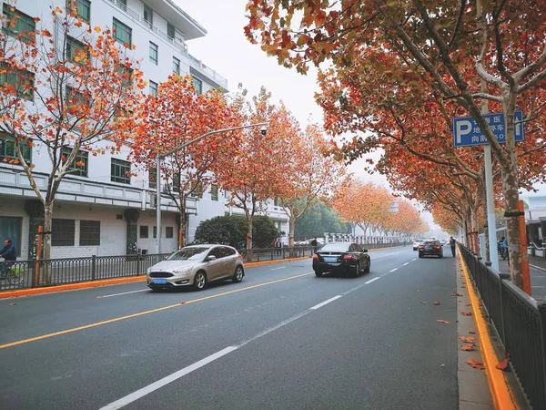 Otoño Ciudad — Foto de Stock