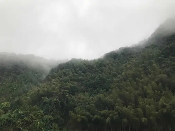 Paisaje Montaña Por Mañana — Foto de Stock