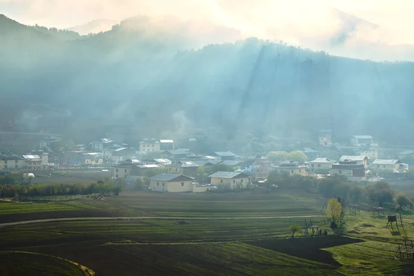 Campos Arroz Por Mañana Niebla — Foto de Stock