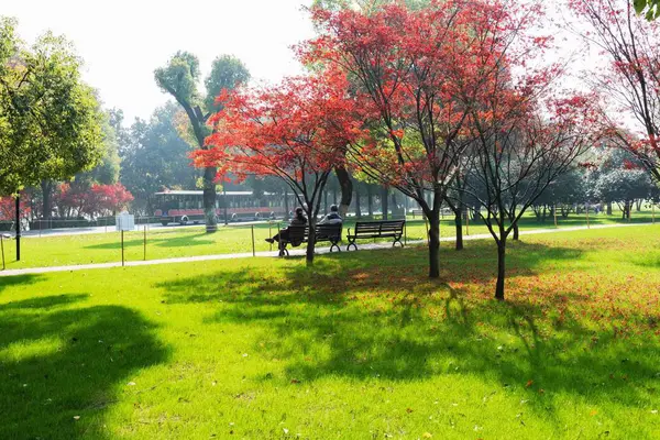 Hermoso Parque Ciudad — Foto de Stock