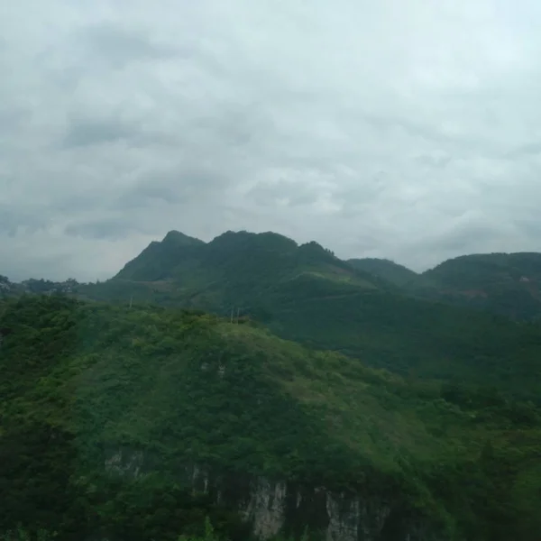 Paisaje Montaña Verde Con Árbol — Foto de Stock