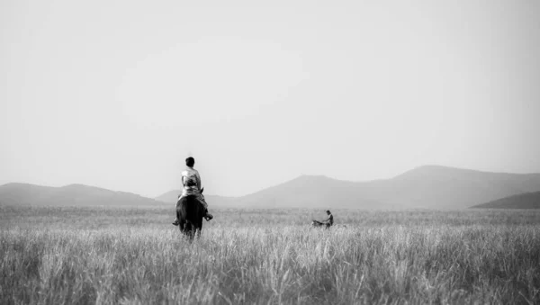 Mujer Joven Montando Caballo Campo — Foto de Stock