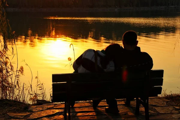 Силуэт Мужчины Сидящего Скамейке Озере — стоковое фото