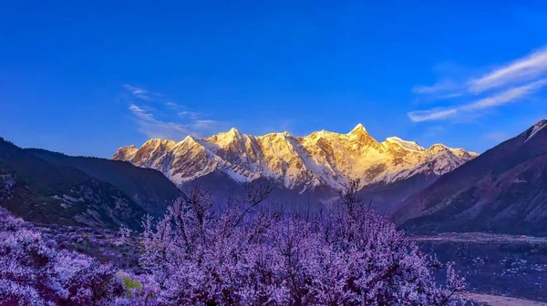 Gyönyörű Táj Hegyek Alpokban — Stock Fotó