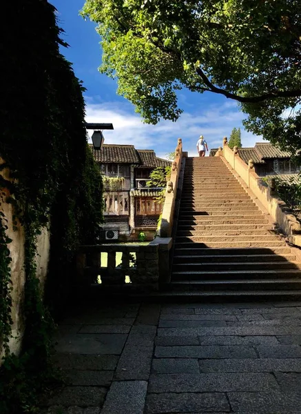 In the early morning, the bright sun sprinkled on Wuzhen Water Township, an old man who got up early wearing a straw hat walked on the bridge of the city river and played a wonderful morning song of the water township!