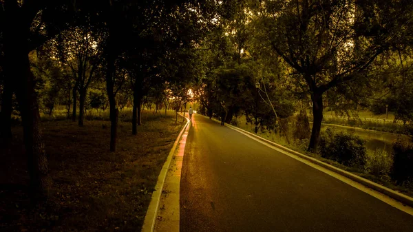 Camino Vacío Parque — Foto de Stock