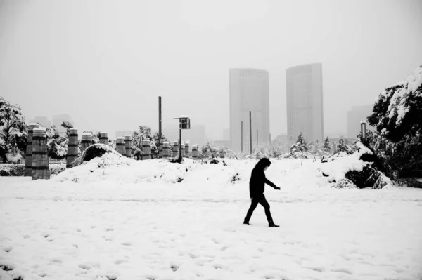 Paisaje Invernal Con Nieve Árboles — Foto de Stock