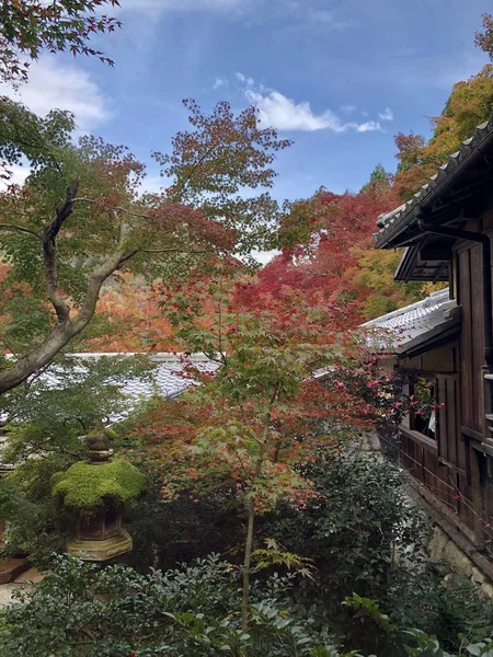 japanese temple in kyoto, japan