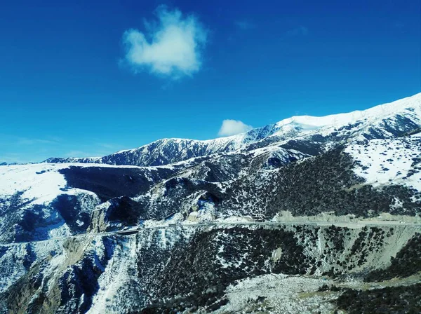 Paisaje Montaña Con Árboles Cubiertos Nieve — Foto de Stock