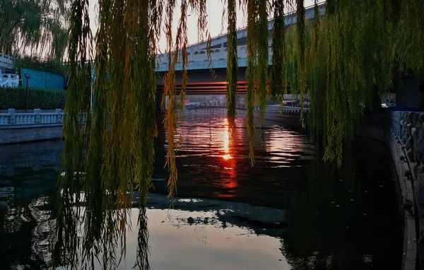 Hermoso Lago Parque — Foto de Stock