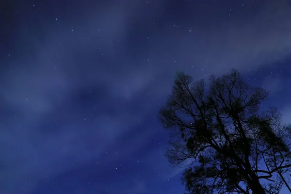 Cielo Nocturno Con Estrellas Estrellado — Foto de Stock