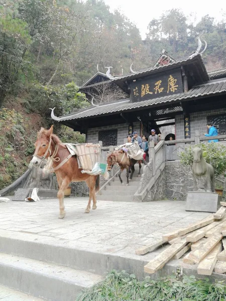 Templo Chino Las Montañas Nepal — Foto de Stock