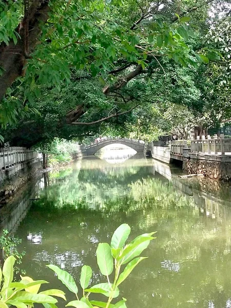 Hermosa Cascada Parque — Foto de Stock