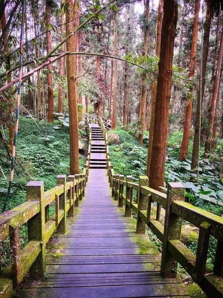 Puente Madera Bosque — Foto de Stock