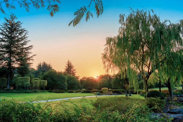 Bellissimo Paesaggio Con Alberi Erba Verde — Foto Stock