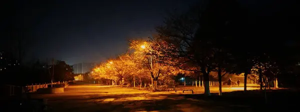 Noche Parque Ciudad — Foto de Stock