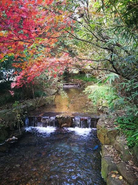 autumn landscape with a waterfall in the fall