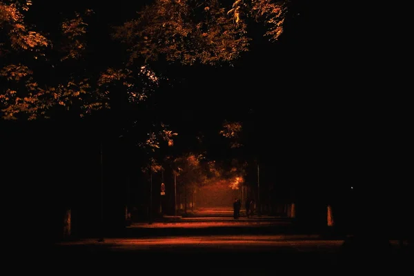 Noite Parque Cidade — Fotografia de Stock