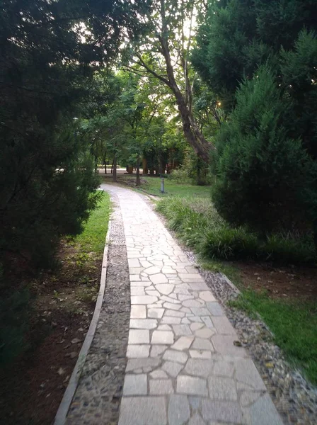 Camino Vacío Parque — Foto de Stock