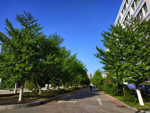 Carretera Parque — Foto de Stock