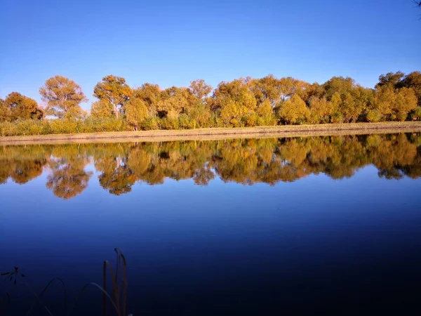 beautiful autumn landscape with trees and reflections