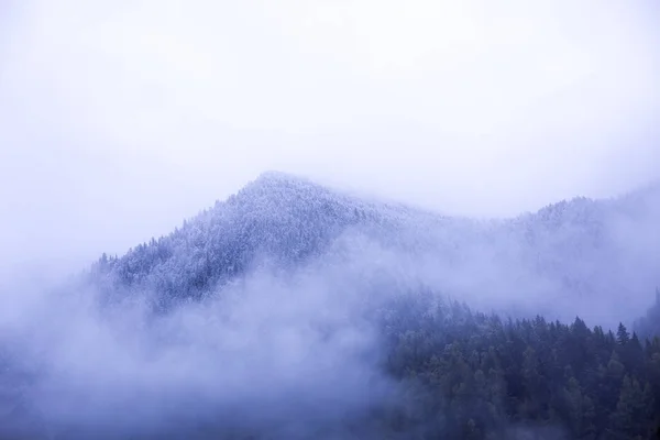 Paisagem Inverno Com Árvores Cobertas Neve — Fotografia de Stock