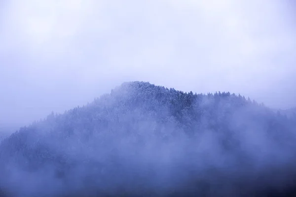 Malebný Výhled Venkovní Scénu — Stock fotografie