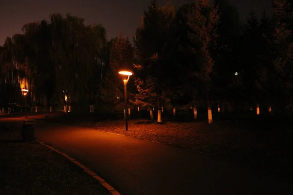 Noche Parque Ciudad — Foto de Stock