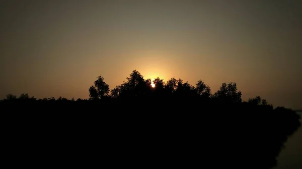 Hermoso Atardecer Bosque — Foto de Stock