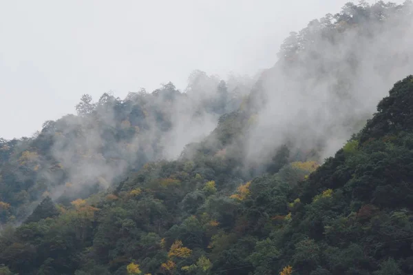 Paisaje Montaña Por Mañana — Foto de Stock