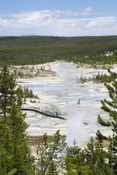 Fotó Yellowstone Park — Stock Fotó