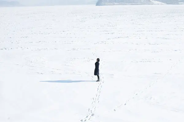 Hombre Paisaje Invernal Con Bastones Esquí Snowboard — Foto de Stock