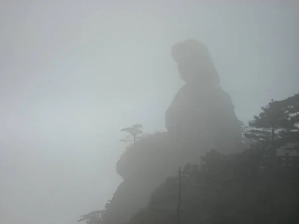 stock image the man in the fog in the mist