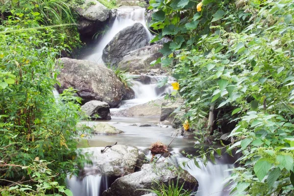 Cachoeira Floresta Flora Natureza — Fotografia de Stock