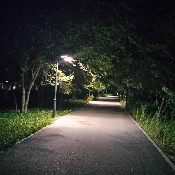 公園内の空の道 — ストック写真