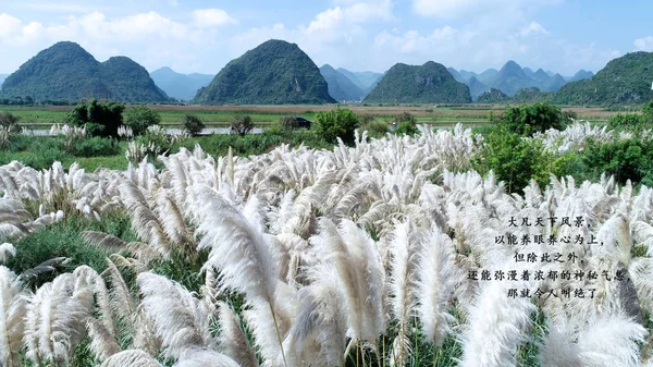 beautiful landscape of the valley in the mountains