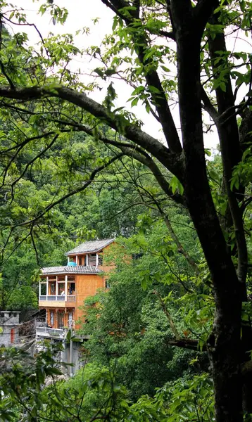 Hermoso Jardín Parque — Foto de Stock