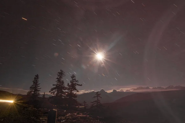 Hermoso Paisaje Nocturno Con Una Luna Árbol — Foto de Stock