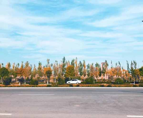 Camino Ciudad Del Parque — Foto de Stock