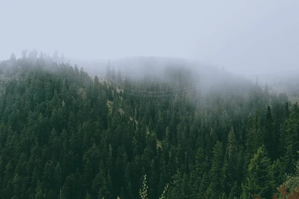 Paisaje Montañoso Brumoso Montañas Cárpatos — Foto de Stock