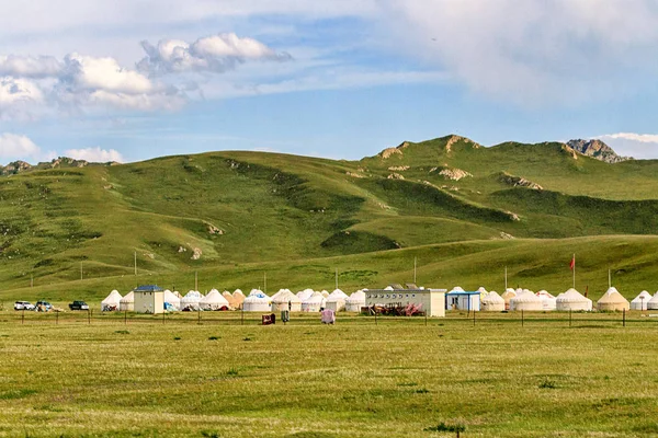 Cows Grazing Mountains — Stock Photo, Image