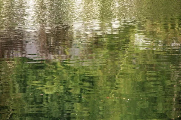 Hermoso Paisaje Con Árboles Reflejos — Foto de Stock