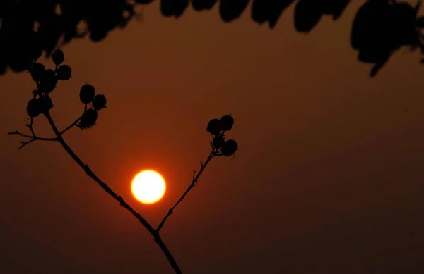 Hermosa Vista Del Atardecer Cielo — Foto de Stock