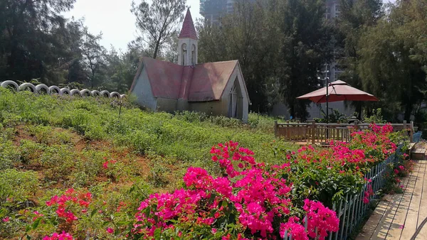Casa con flores de colores en el jardín u2014 Viejo, naturales - Stock 