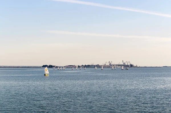 Grupp Segelbåtar Fredligt Tätning Vatten Den Bay Cádiz — Stockfoto
