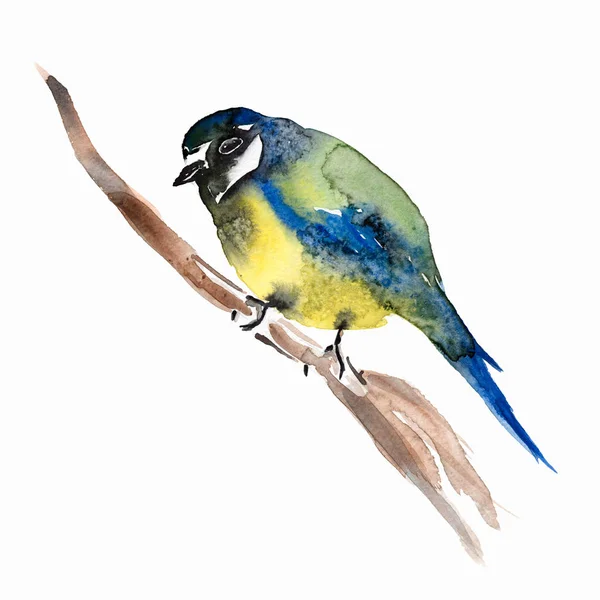 Aquarell Blauvogel Auf Zweig Handgemalte Illustration Isoliert Auf Weißem Hintergrund — Stockfoto