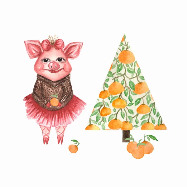 Симпатичные акварельные свиньи, рождественские апельсины — стоковое фото