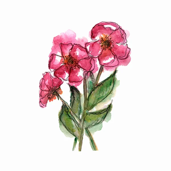 Акварельный Цветок Поздравительная Открытка Приглашение Свадьбу Цветочная Карта Розовые Весенние — стоковое фото
