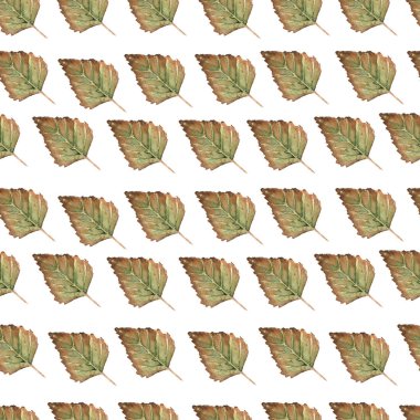 Seamless modeli sonbahar sonbahar yaprakları, doğal dalları, renkli otlar, el suluboya içinde çekilmiş. Güzellik zarif arka plan doku, baskı, tekstil kumaş, beyaz duvar kağıdı